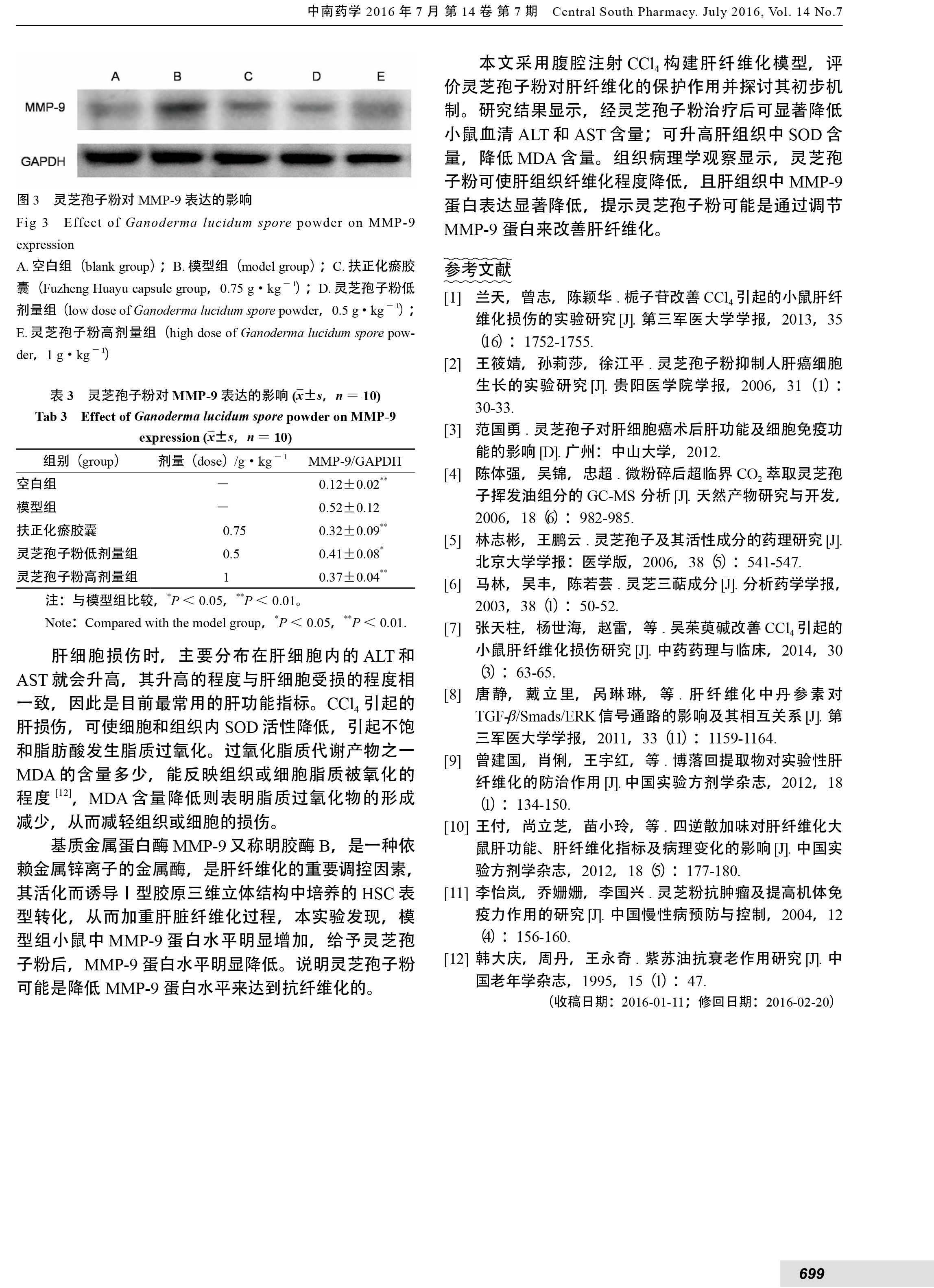 221 华体online(中国)孢子粉保护CCl_4引起的小鼠肝纤维化损伤的实验研究-4.jpg